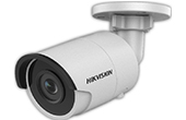 Camera IP hồng ngoại 3.0 Megapixel HIKVISION DS-2CD2035FWD-I