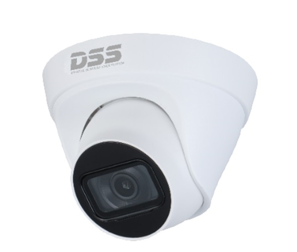 Camera IP Dome hồng ngoại 4.0 Megapixel DAHUA DS2431TDIP-S2