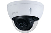 Camera IP Dome hồng ngoại 4.0 Megapixel DAHUA IPC-HDBW2531EP-S-S2