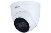 Camera IP Dome hồng ngoại 2.0 Megapixel DAHUA IPC-HDW2231TP-AS-S2