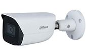 Camera IP hồng ngoại 4.0 Megapixel DAHUA IPC-HFW3441EP-AS